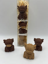 Load image into Gallery viewer, A Fold of Highland Coos
